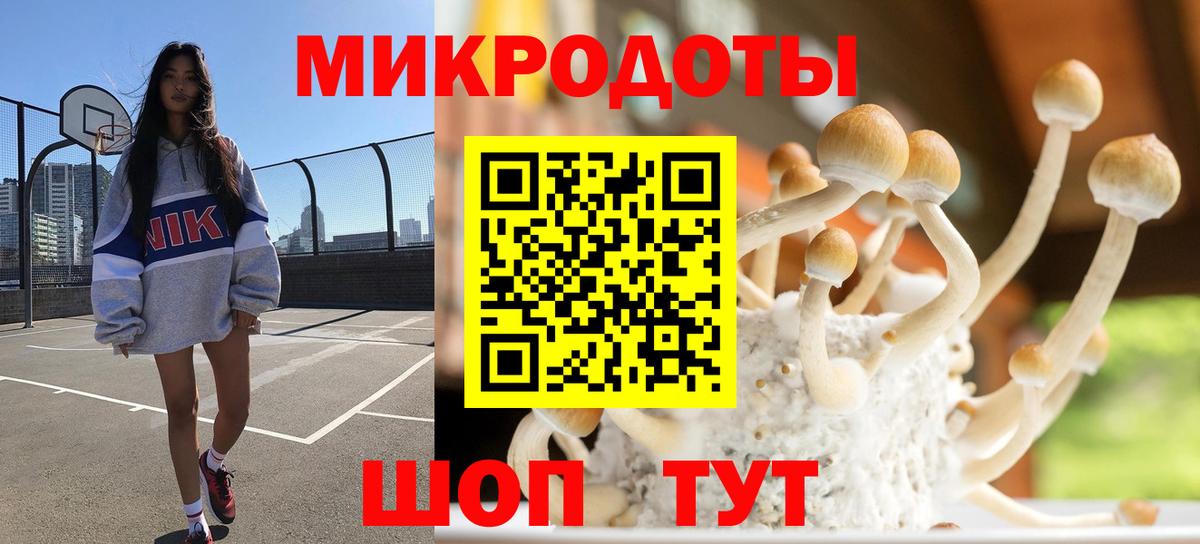 Галлюциногенные грибы GOLDEN TEACHER  цена наркотик  Владивосток  Вход с VPN 