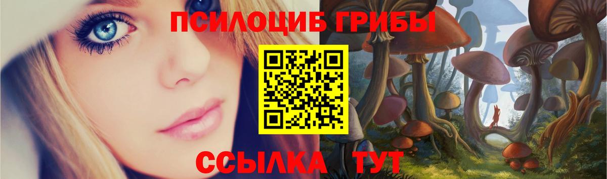 Галлюциногенные грибы Psilocybine cubensis Владивосток
